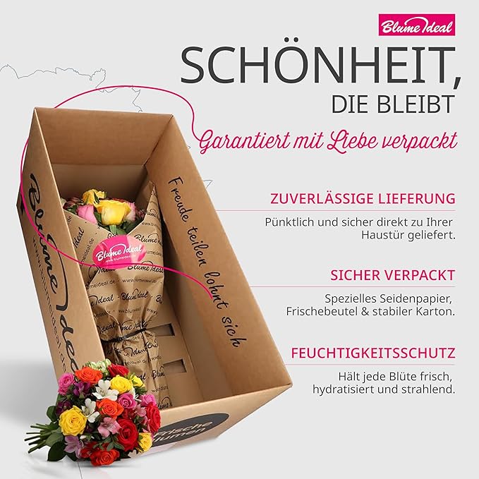 Vorschaubild 6