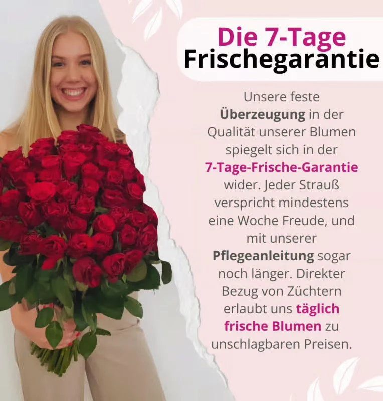 Vorschaubild 6