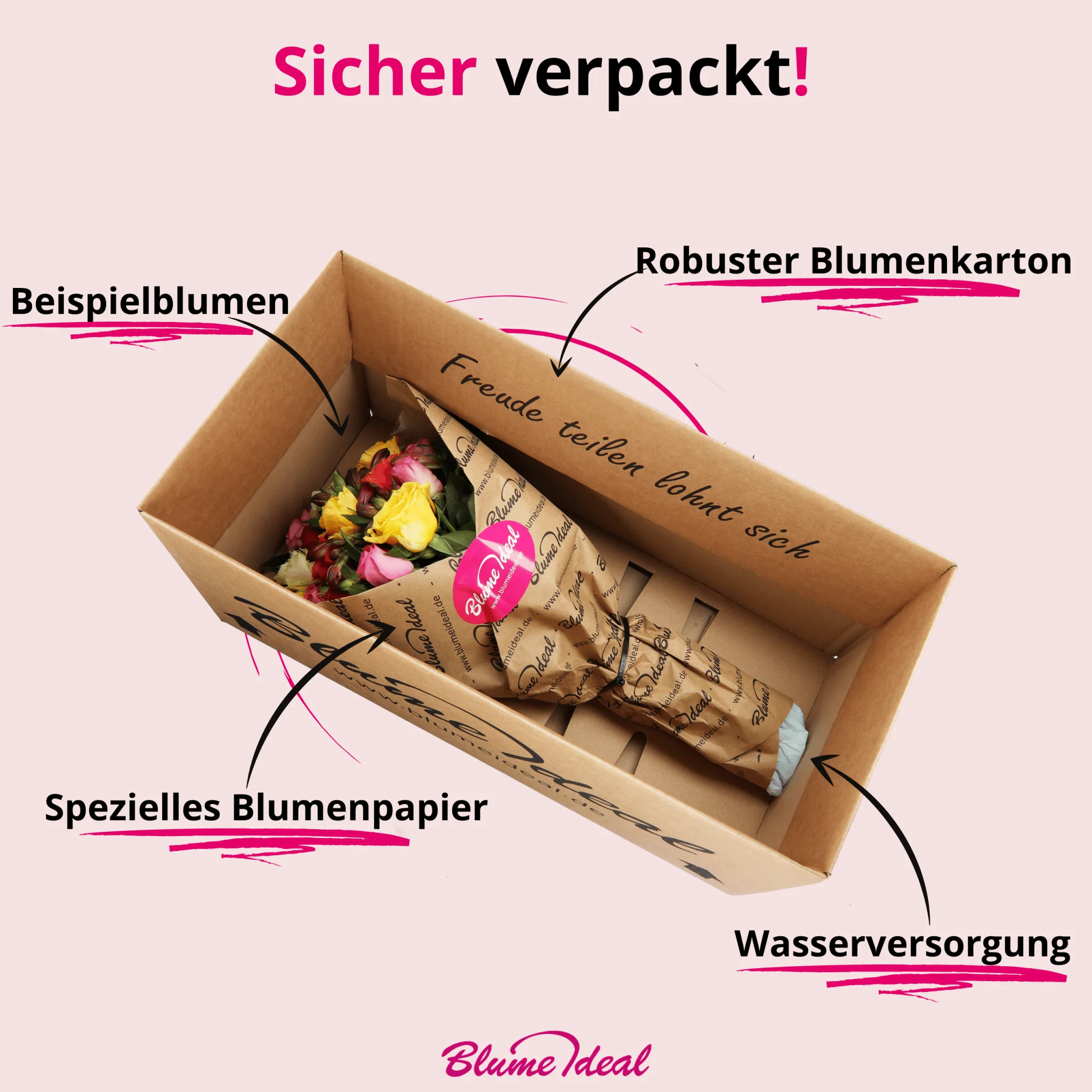 Vorschaubild 6