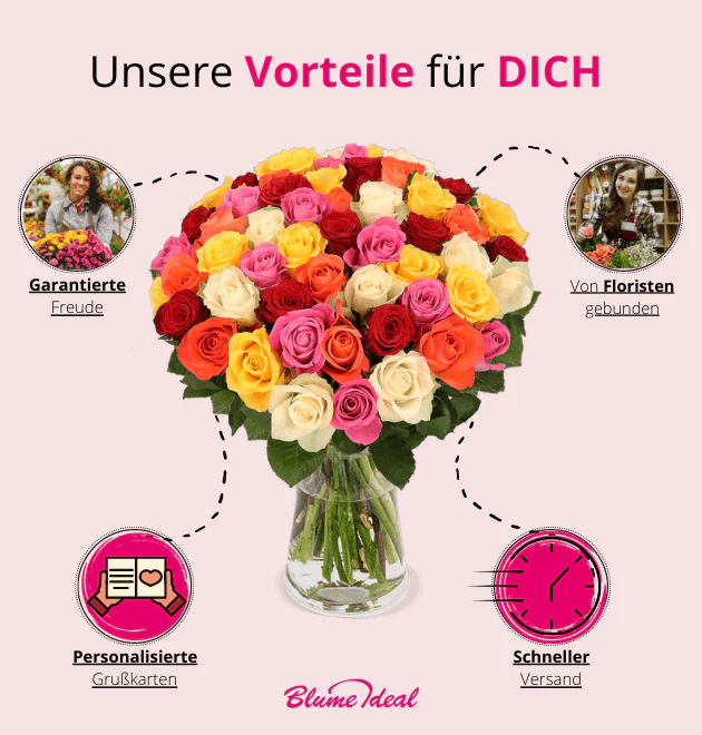 Vorschaubild 8