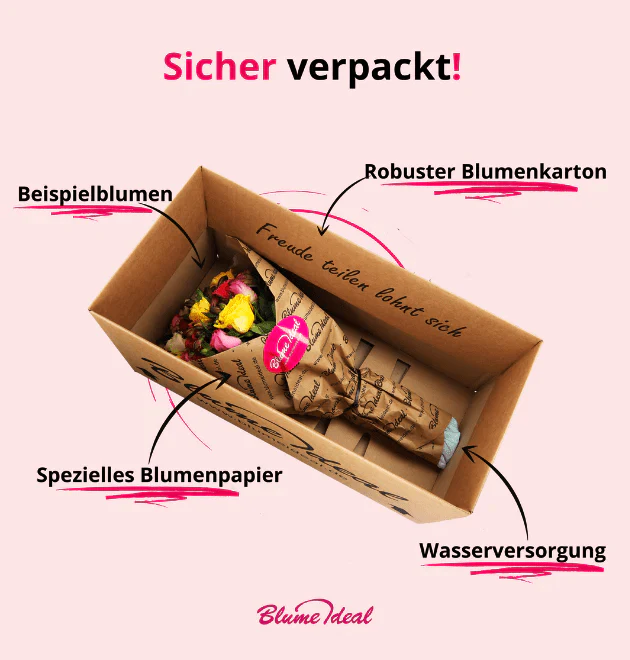 Vorschaubild 5