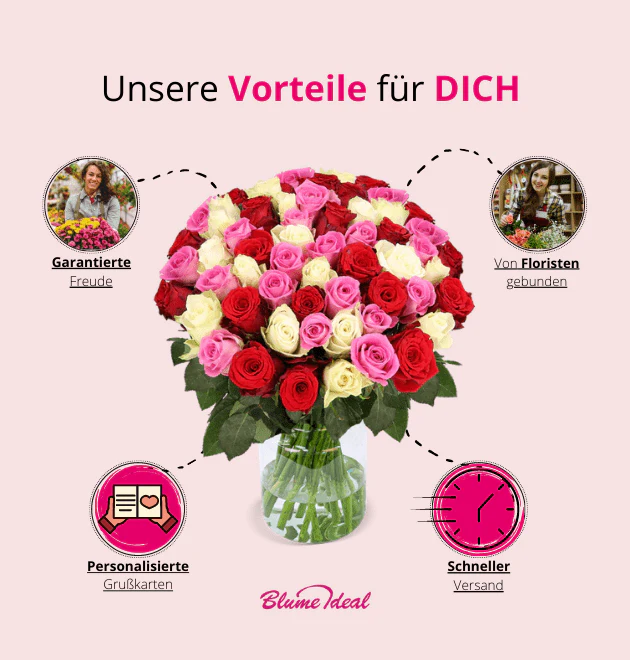 Vorschaubild 7