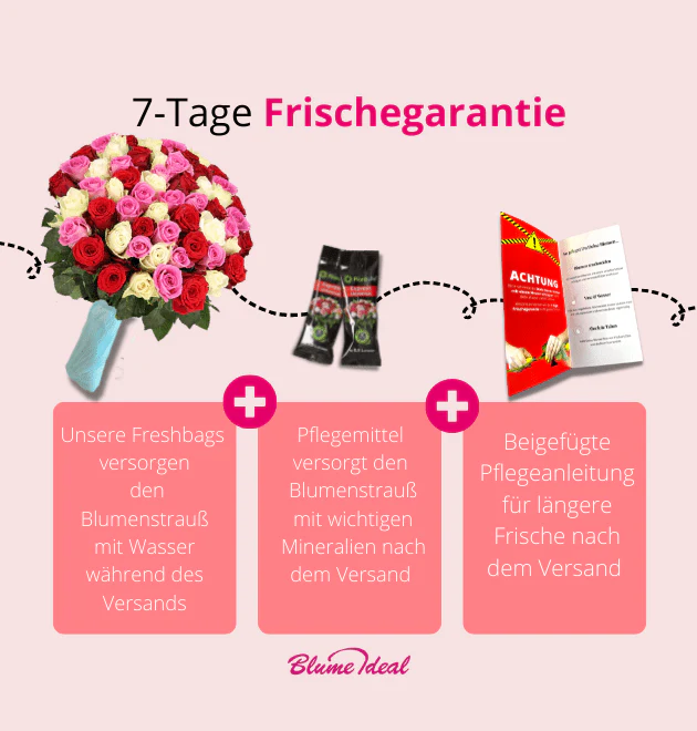 Vorschaubild 8