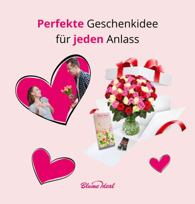Vorschaubild 9