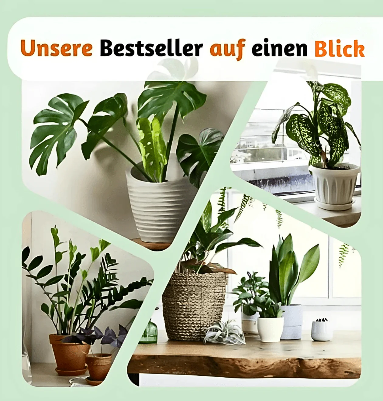 Vorschaubild 10