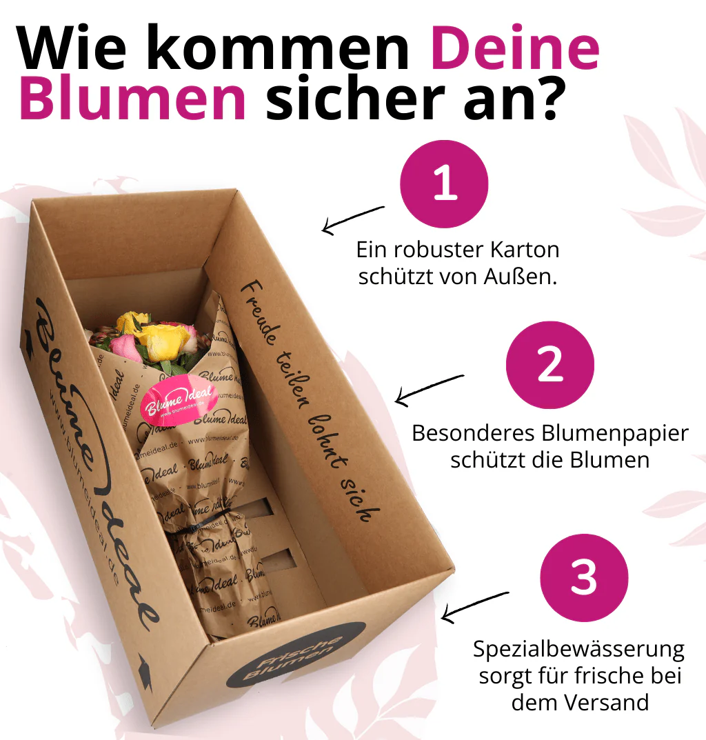 Vorschaubild 3