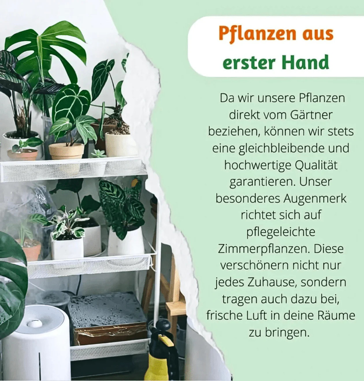 Vorschaubild 10