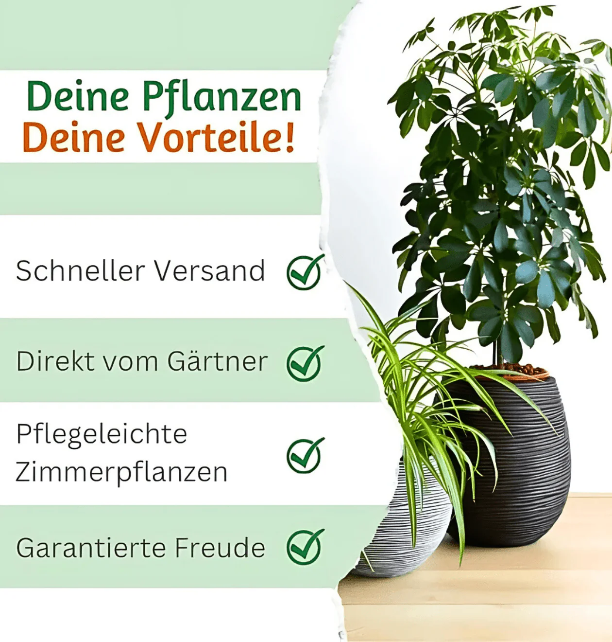 Vorschaubild 9