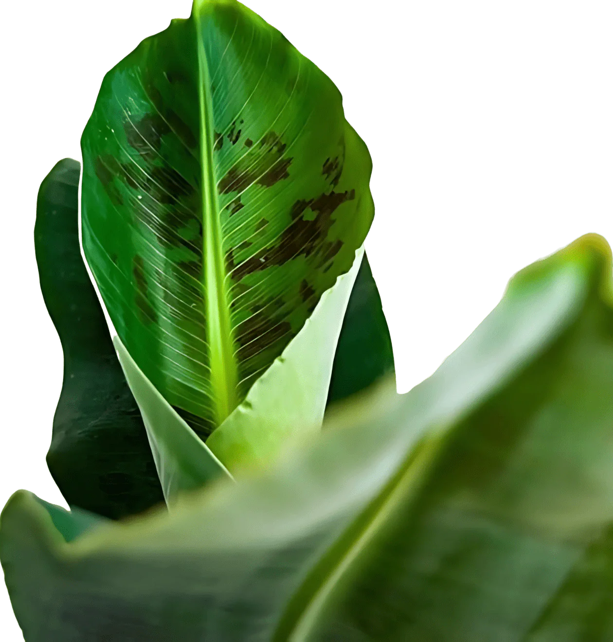 Vorschaubild 5