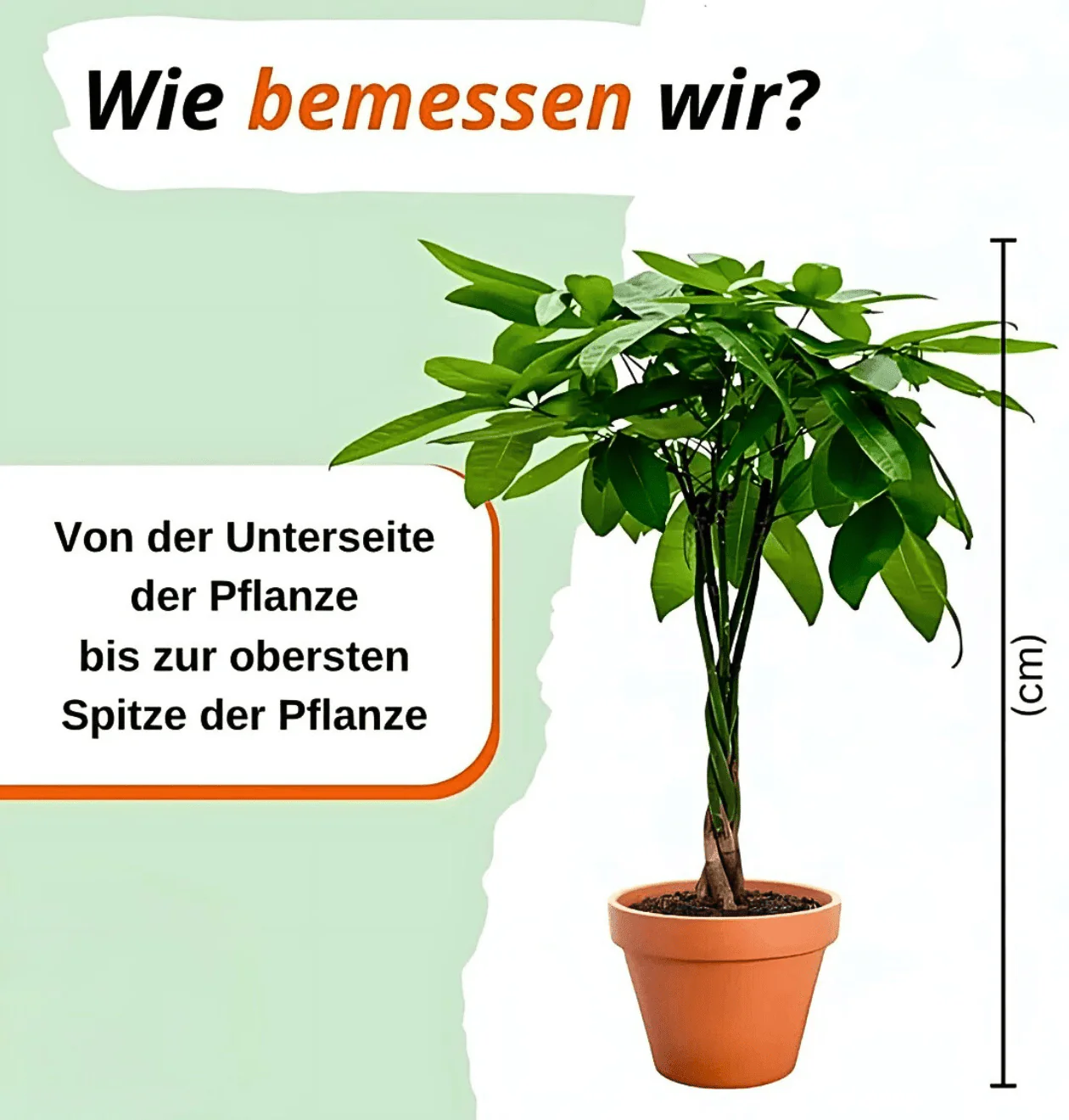 Vorschaubild 9