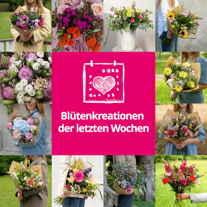 Vorschaubild 4