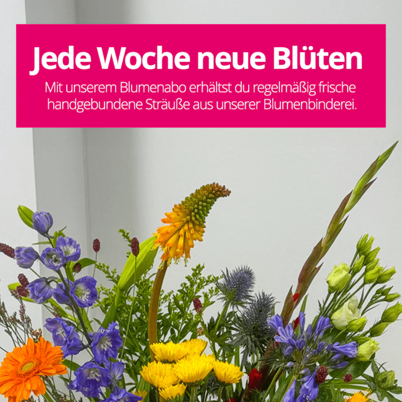 Vorschaubild 7
