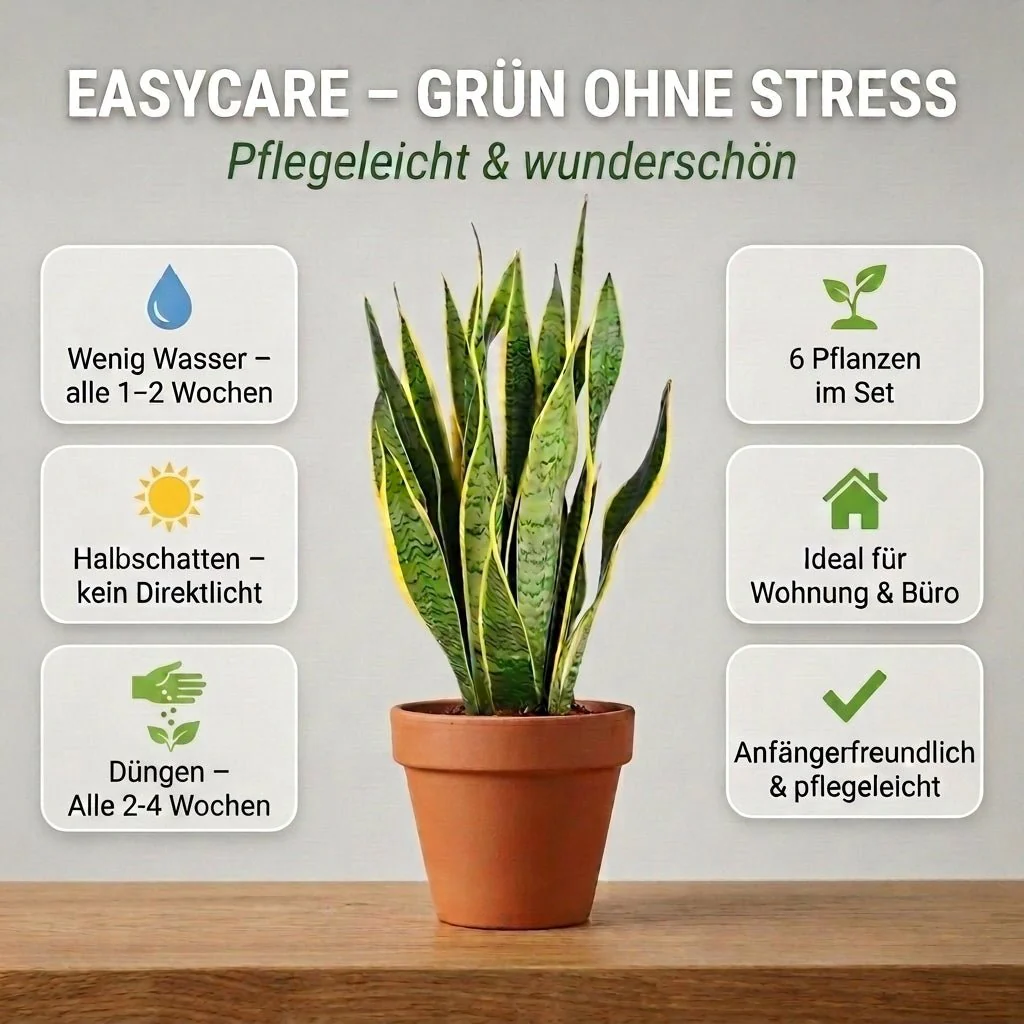 Vorschaubild 4