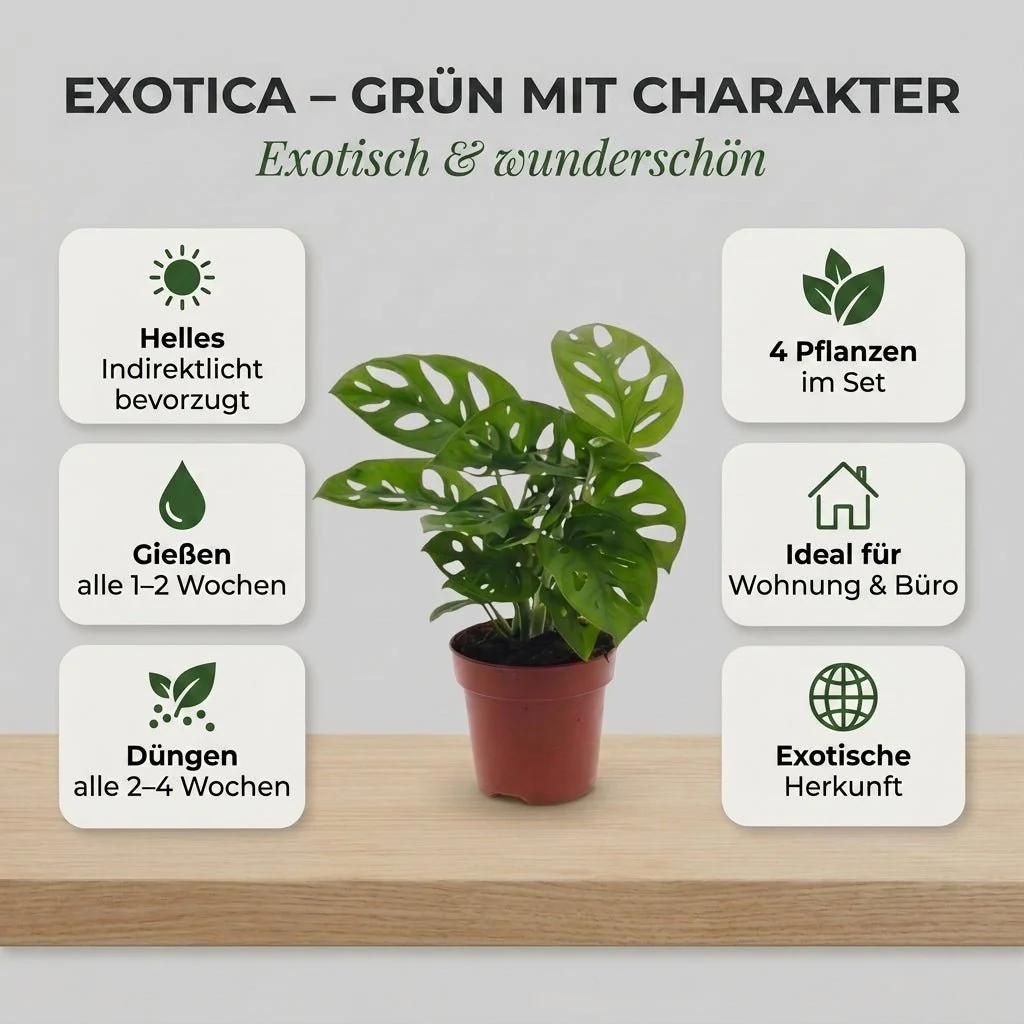 Vorschaubild 4
