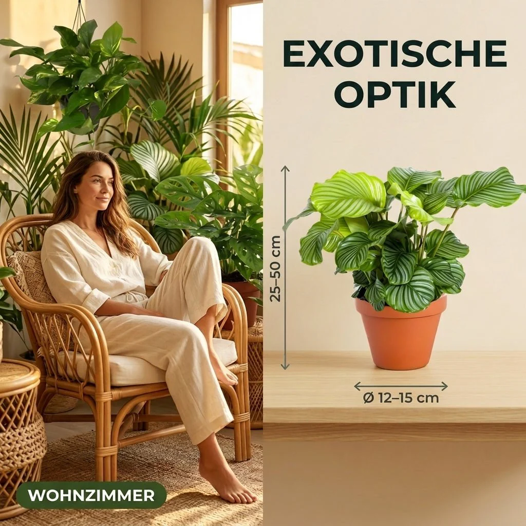 Vorschaubild 6