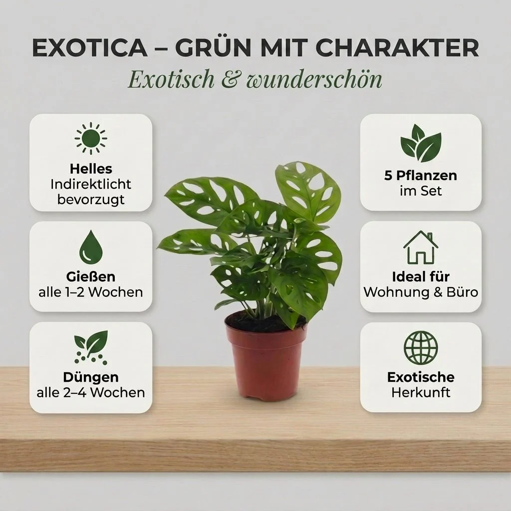 Vorschaubild 4