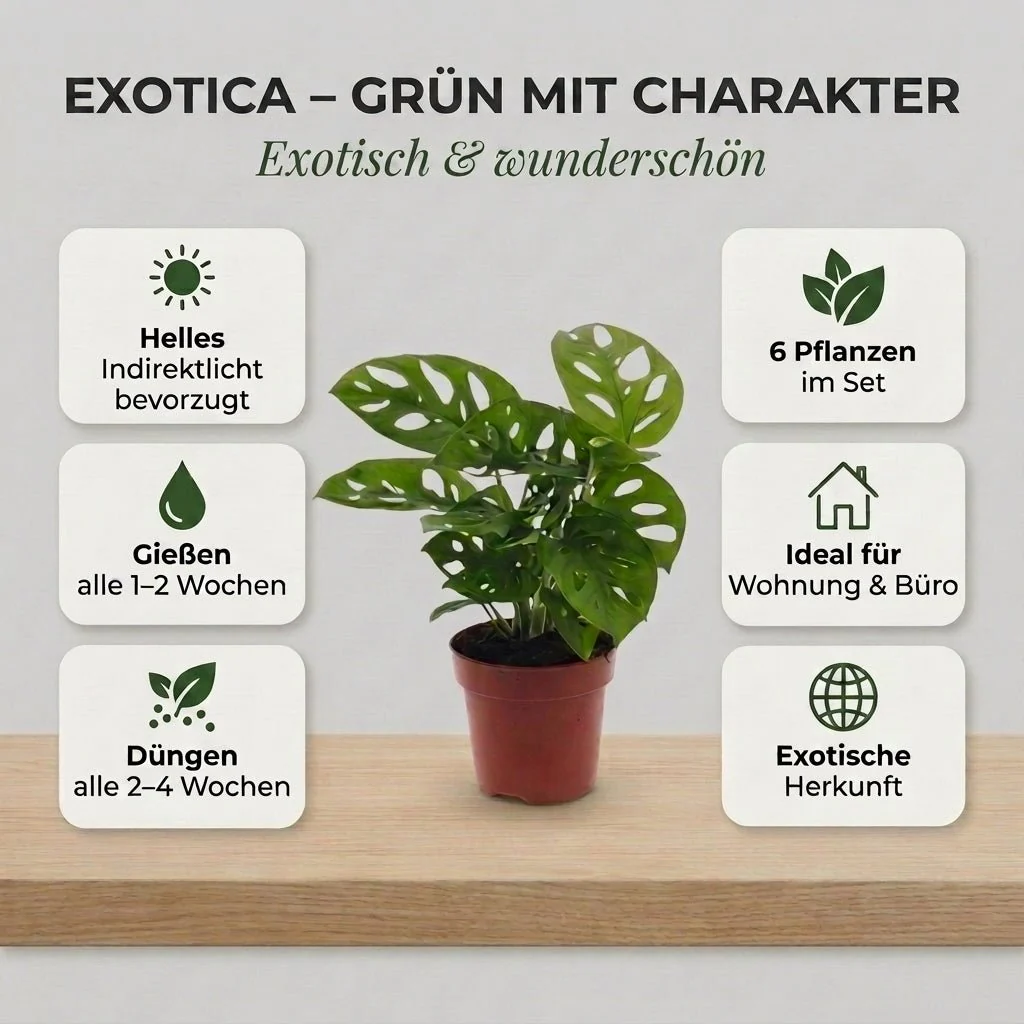 Vorschaubild 4