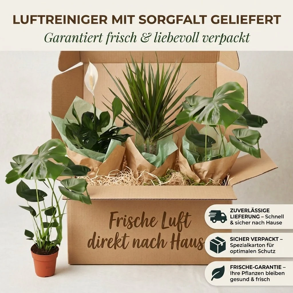 Vorschaubild 7