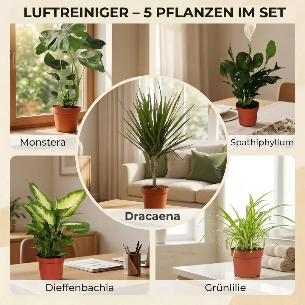 Vorschaubild 4