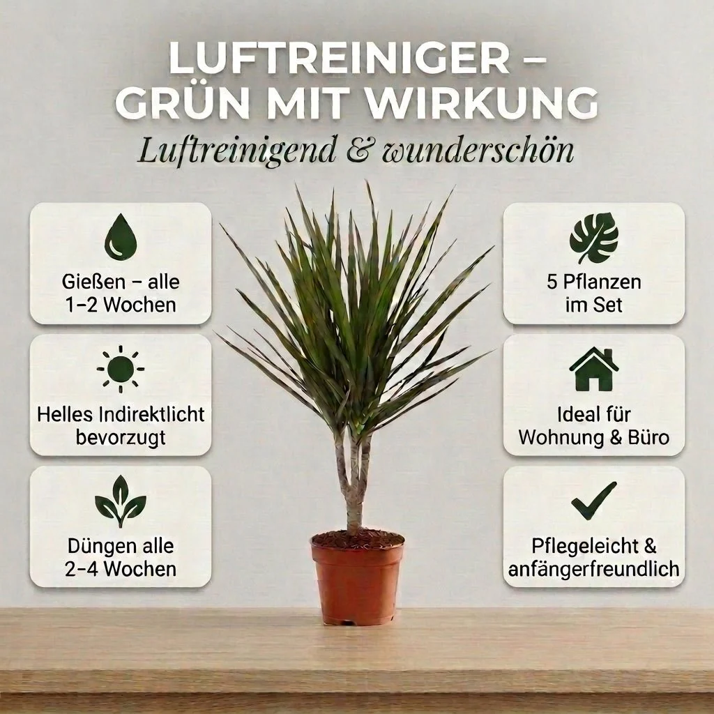 Vorschaubild 5