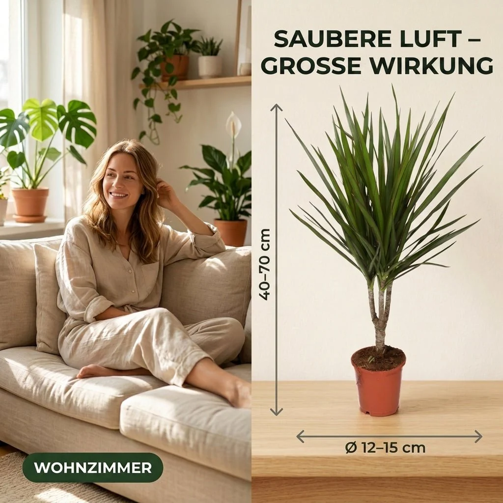 Vorschaubild 6