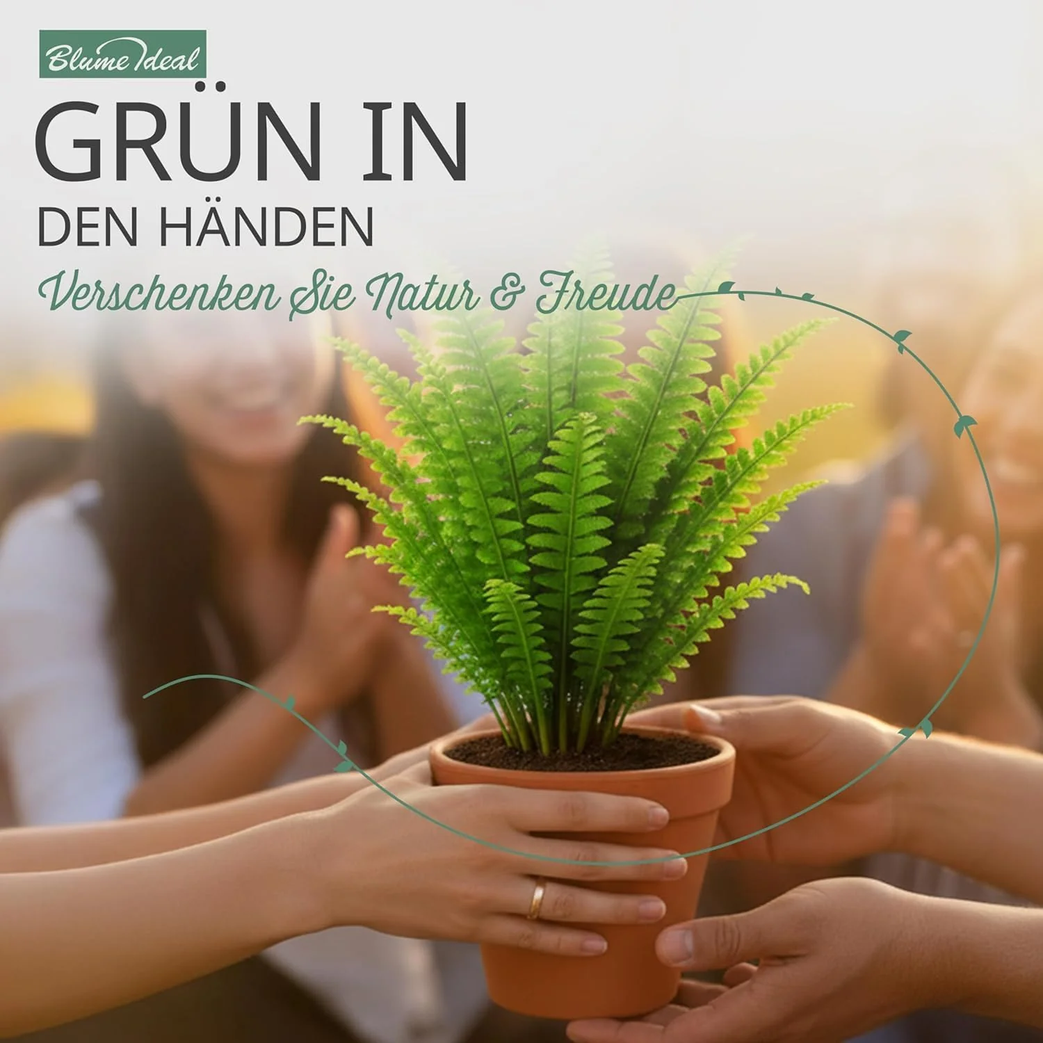 Vorschaubild 6