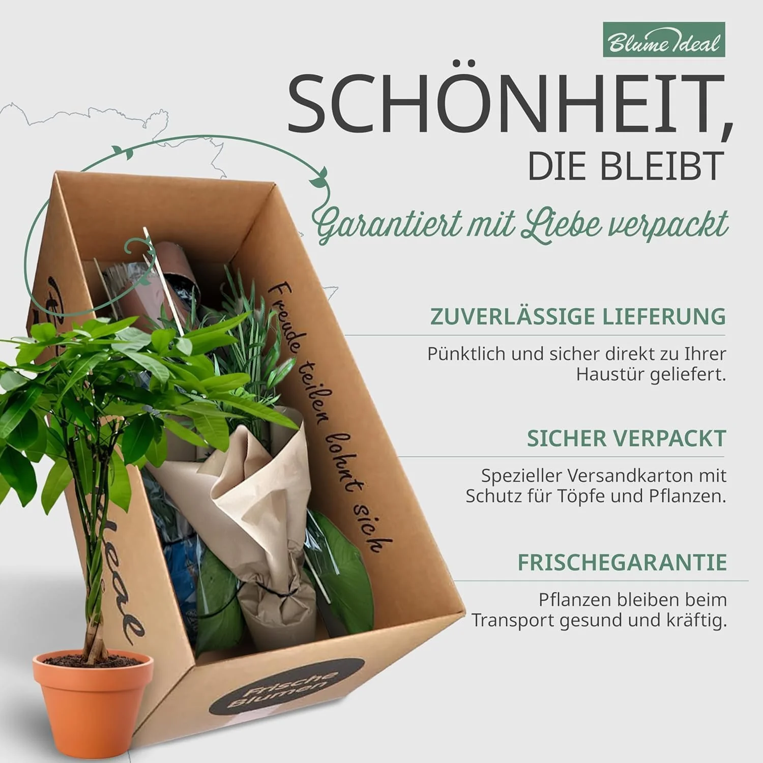 Vorschaubild 7