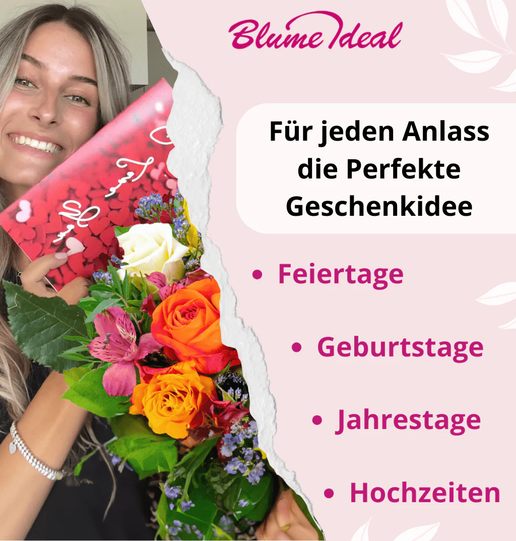 Vorschaubild 6