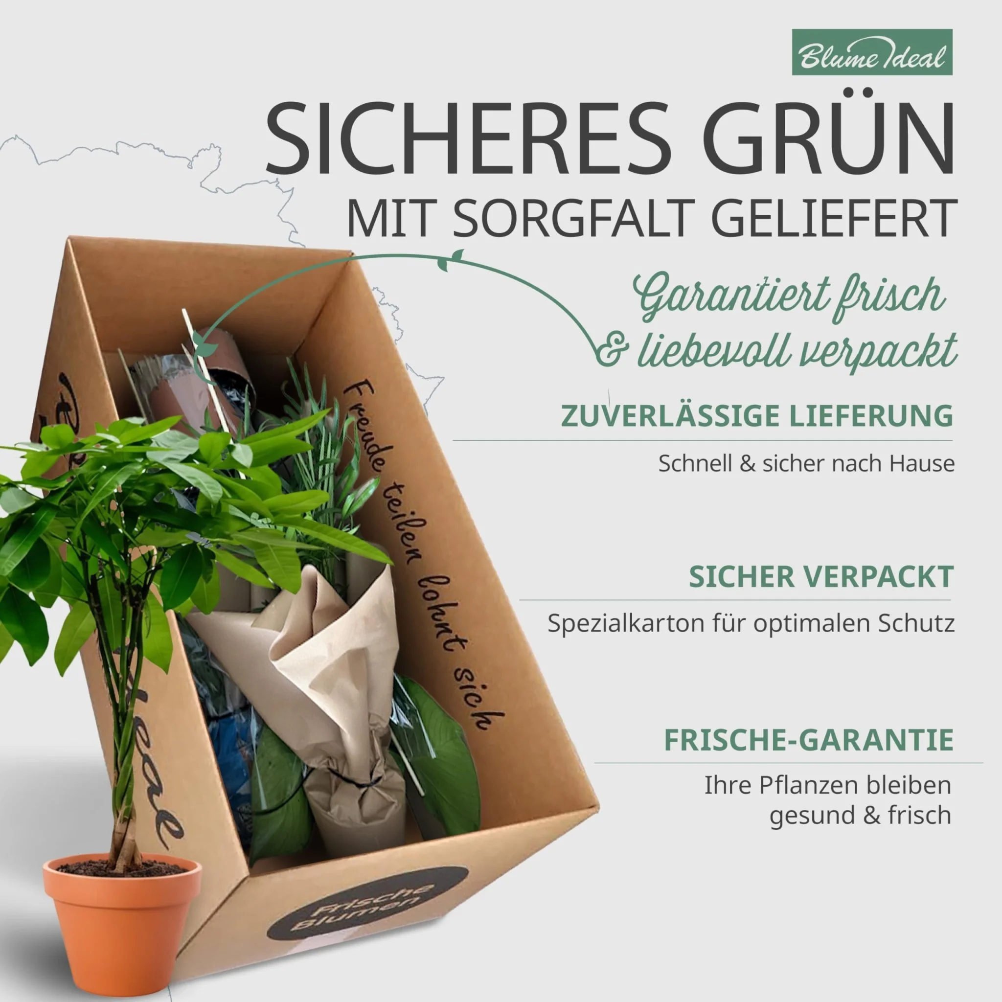 Vorschaubild 5
